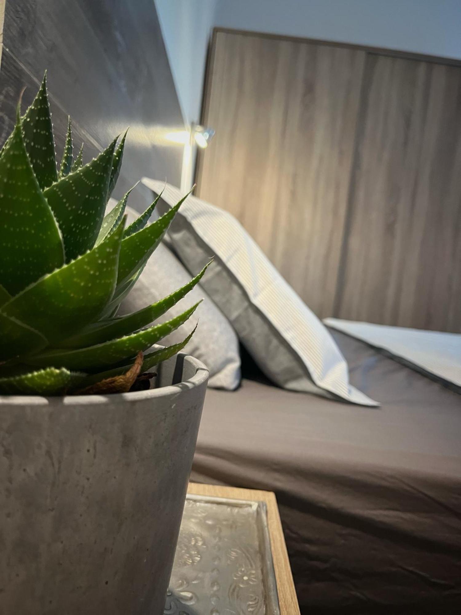 Buzzstays: 1-Bed Bungalow, Garden, Near Yumbo & Beach Maspalomas  Exterior foto